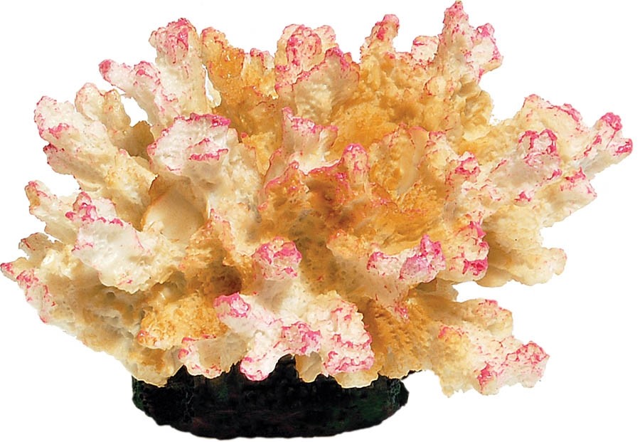 Aqua Spectra Coral Pink 10.5 x 9.5 x 6.5cm AQ11026