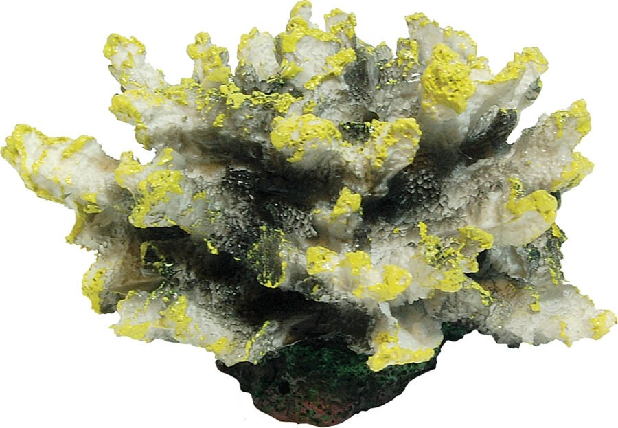 Aqua Spectra Coral Yellow 10 x 9.5 x 6.5cm AQ61004