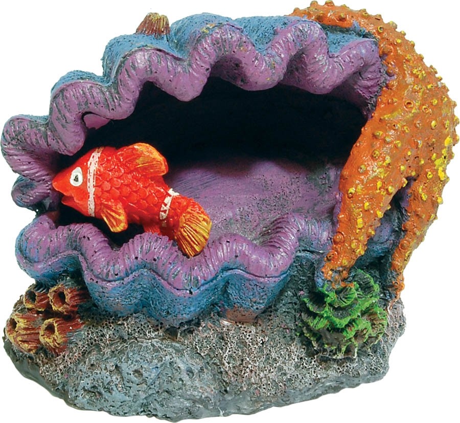 Aqua Spectra Seashell with Fish 11 x 8 x 8.5cm AQ61900