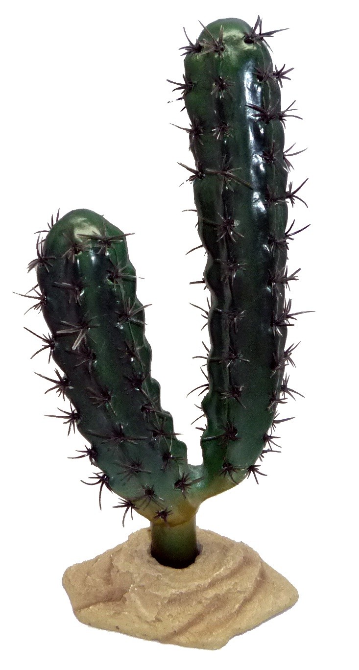 Komodo Finger Cactus 20cm 82501