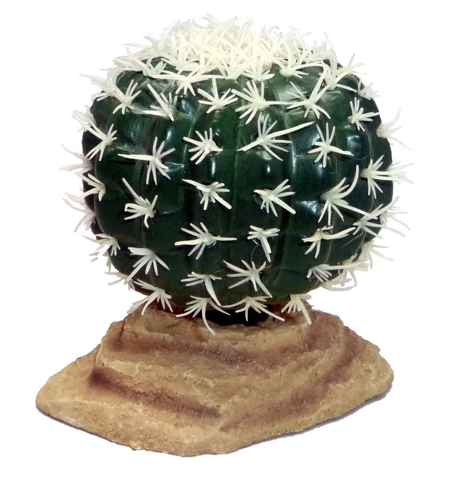 Komodo Barrel Cactus 9cm 82503