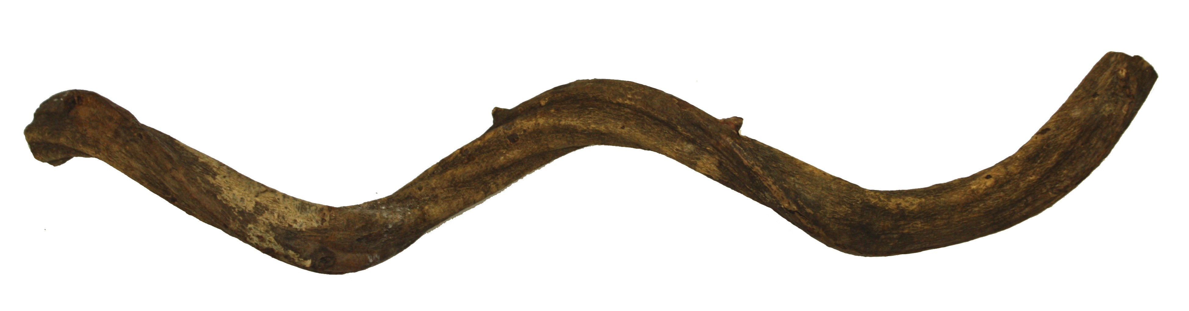 Komodo Liana Root 90cm 82715