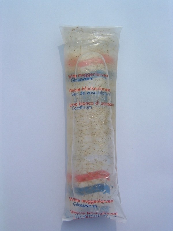 LIVE Glassworm (100ml) x 12 Pack 