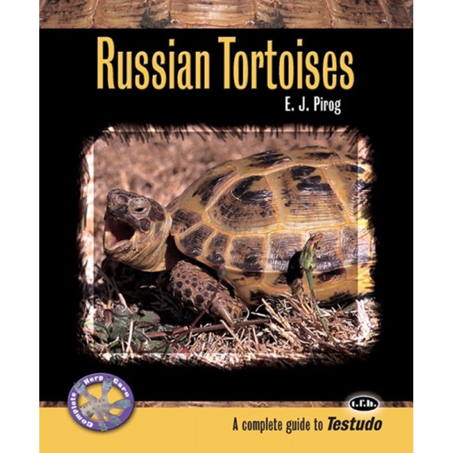 ECO PBS Russian Tortoises in Captivity
