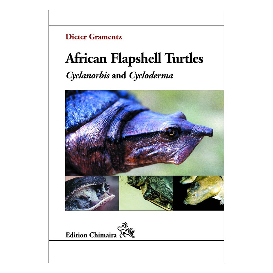 Chimaira African Flapshell Turtles