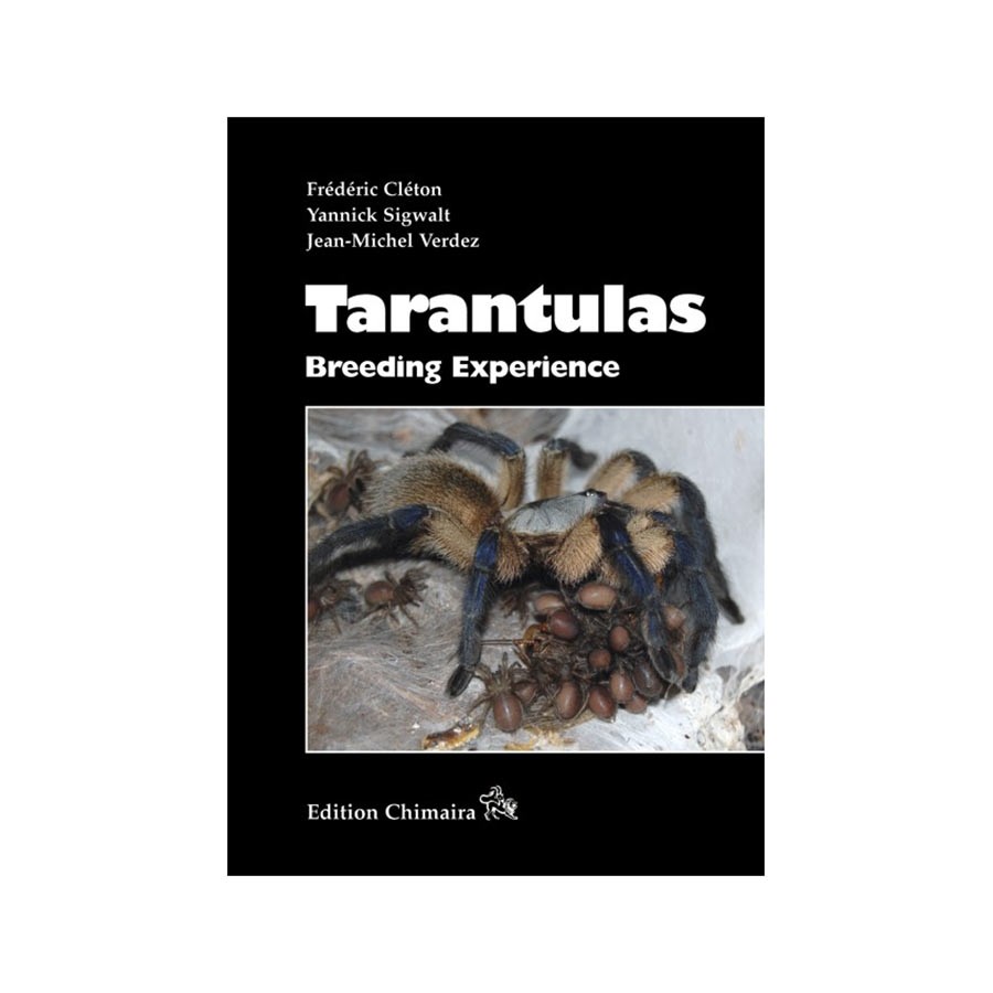 Chimaira Tarantulas - Breeding Experience