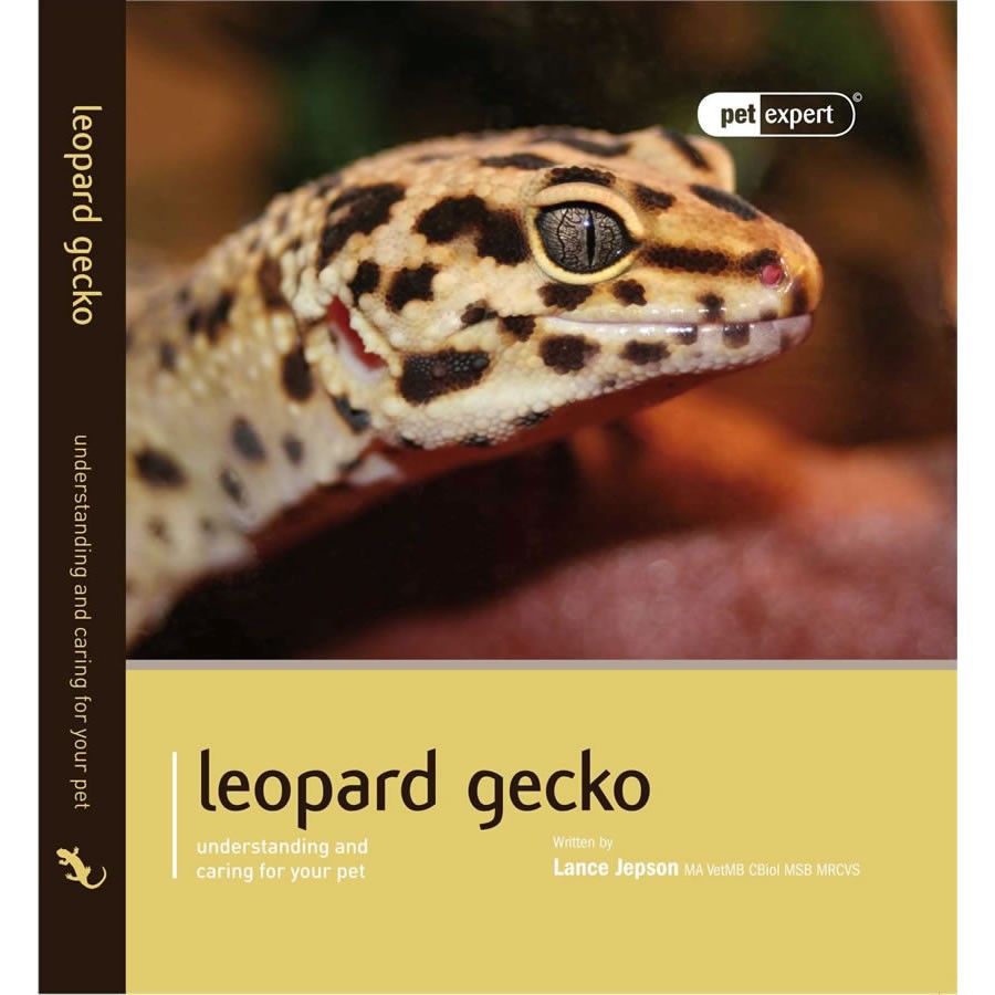 Pet Expert Leopard Gecko