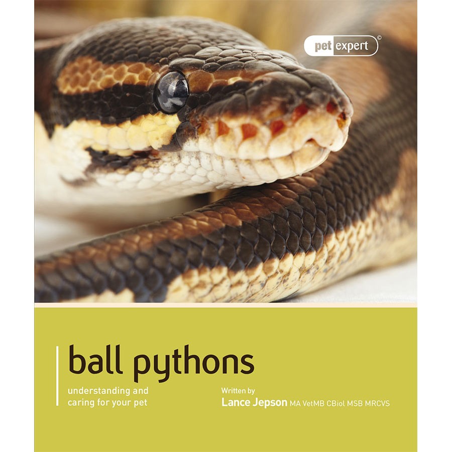 Pet Expert Ball Pythons