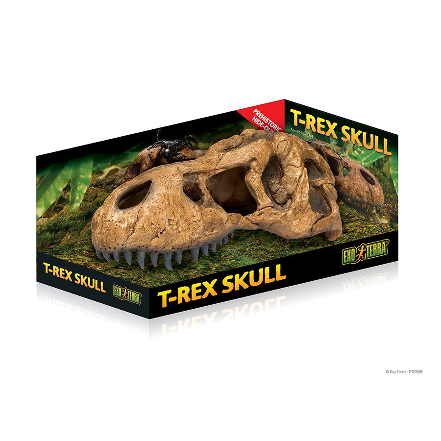 Exo Terra T Rex Skull PT2859