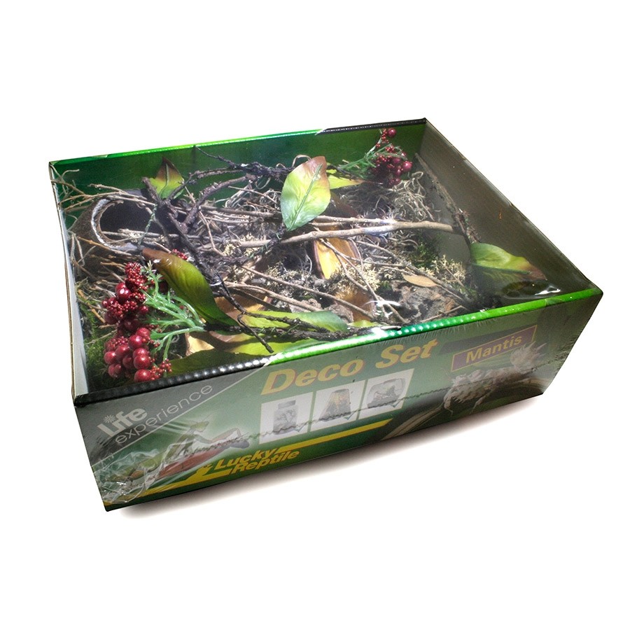 Lucky Reptile Life Experience Deco Set Mantis, LDS-03
