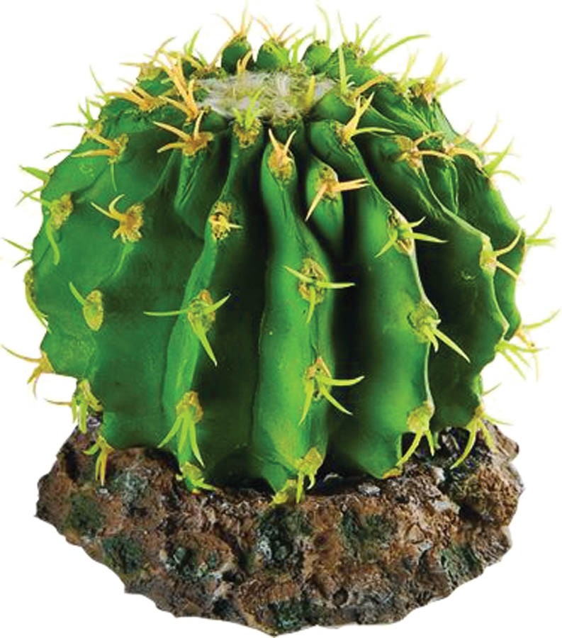 RepStyle Cactus with Rock Base 10 x 10 x 8cm FP26509