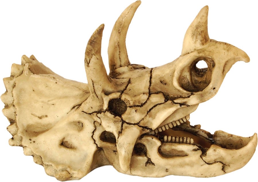 RepStyle Skull Dinosaur 18.5 x 10 x 12.5cm FP20281