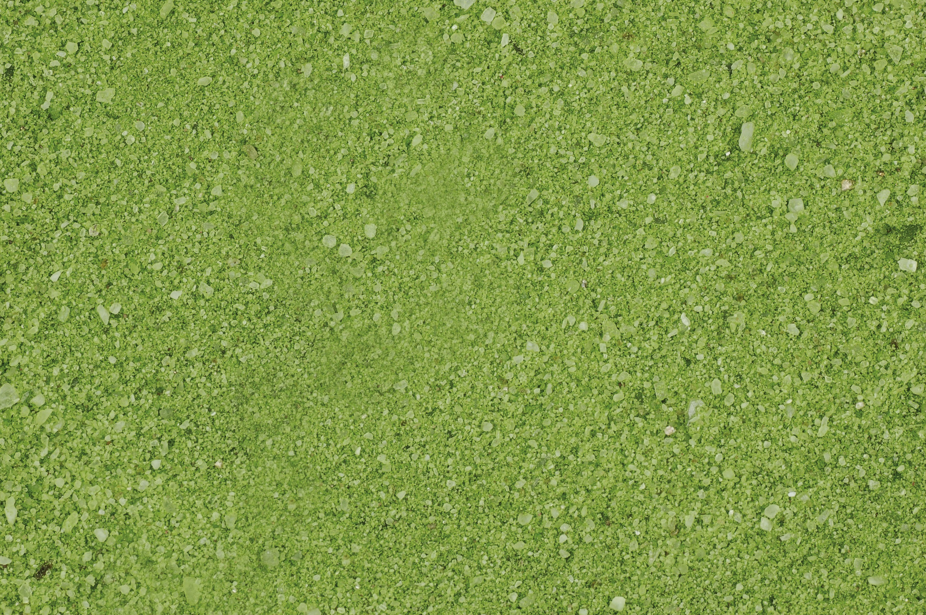 Komodo CaCo Sand Green 4Kg U46078
