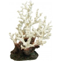 Aqua Spectra Coral Large White 24 x 17 x 30cm AQ11012