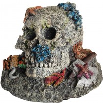 Aqua Spectra Skull with Padlock & Axe 16.5x16x11.5cm AQ28381