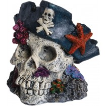Aqua Spectra Skull with Pirate Hat 15 x 14 x 14.5cm AQ28382
