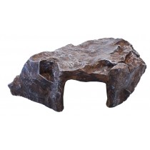 Komodo Rock Den Medium