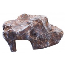Komodo Rock Den Large