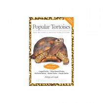 AVS Popular Tortoises