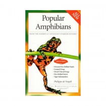 AVS Popular Amphibians