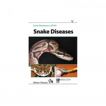 Chimaira Snake Diseases