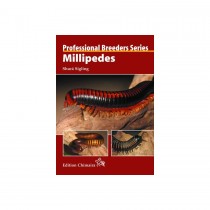 Chimaira Millipedes Professional Breeder Series