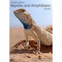 A Field Guide to Reptiles and Amphibians of Israel