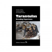 Chimaira Tarantulas - Breeding Experience