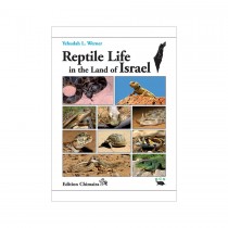 Chimaira: Reptile Life in land of Israel (Werner)