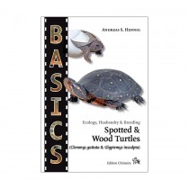 Chimaira Basics: Spotted & Wood Turtles, Hennig
