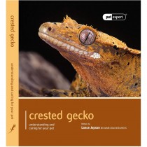 Pet Expert Crested Gecko