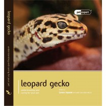 Pet Expert Leopard Gecko