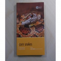 Pet Expert Corn Snake