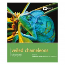 Pet Expert. Veiled Chameleons
