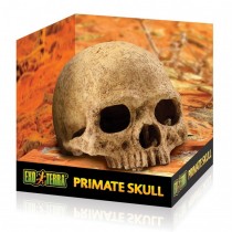 Exo Terra Primate Skull PT2855