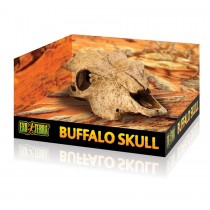 Exo Terra Buffalo Skull PT2857