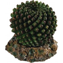 RepStyle Cactus with Rock Base 7.5 x 7.5 x 7cm FP26501