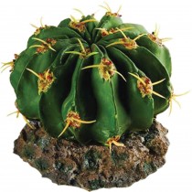 RepStyle Cactus with Rock Base 9.5 x 9.5 x 7cm FP26508