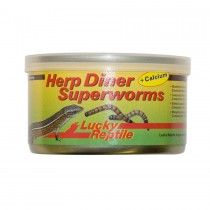 Lucky Reptile Herp Diner Superworms 35g HDC-34