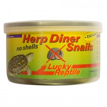 Lucky Reptile Herp Diner Snails NO SHELL HDC-52