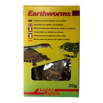 Lucky Reptile Earthworms 20g EF-20