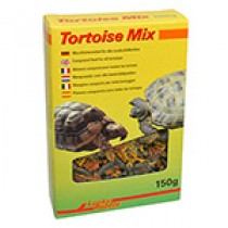 Lucky Reptile Tortoise Mix
