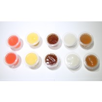 Online Reptile Jelly Pots 5 Flavour Sample Pack