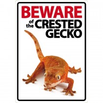 Beware Sign: Crested Gecko