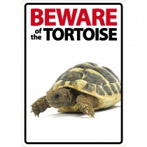 Beware Sign: Tortoise