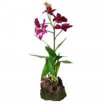 Lucky Reptile Upright Orchid Purple 35cm IF-14