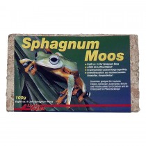 Lucky Reptile Spaghnum Moss brick 100g SM-100
